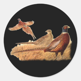 Sticker Rond Chasse aux oiseaux de faisan insaisissable