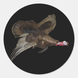 Sticker Rond Chasse sauvage de la Turquie