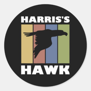 Sticker Rond Chasseur de faucon hawk