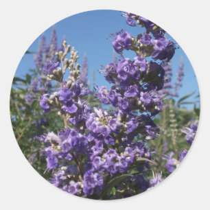 Sticker Rond Chaste Arbre Fleurs violettes