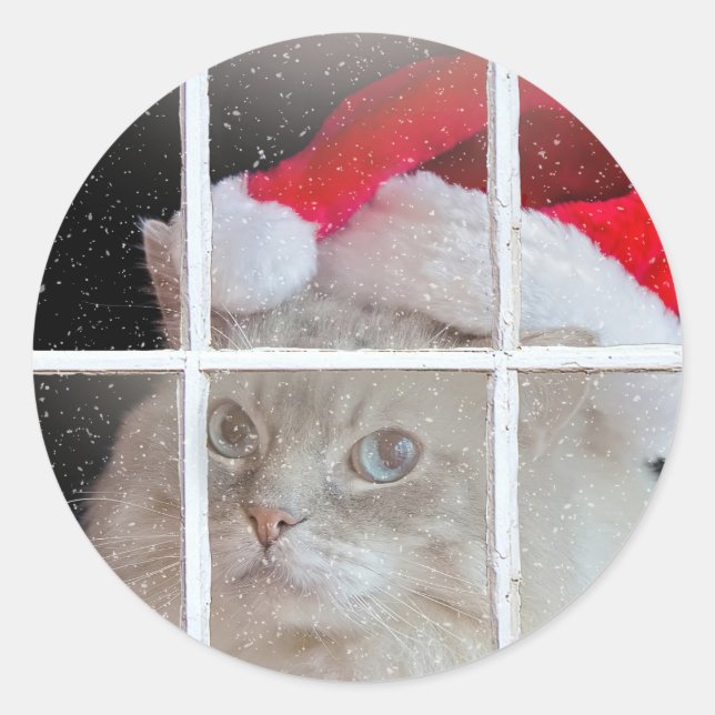 Sticker Rond Chat à poupée de Noël dans la fenêtre (Devant)