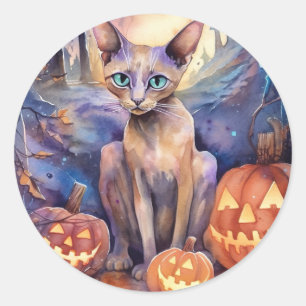 Sticker Rond Chat abyssin d'Halloween avec citrouilles effrayan