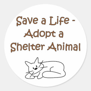 Sticker Rond Chat animal d'abri de délivrance/adoption