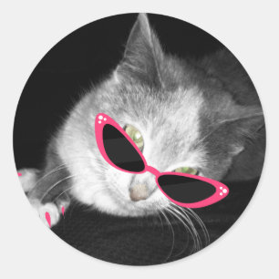 Sticker Rond Chat avec chevalet de lunettes de soleil rose