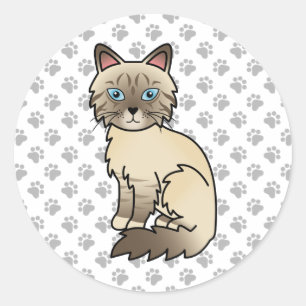 Sticker Rond Chat Birman / Ragdoll Tabby pointe chocolat & Patt