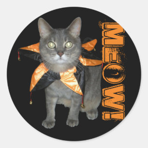 Sticker Rond Chat Costume Meow