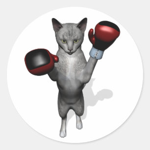 Sticker Rond Chat de boîte