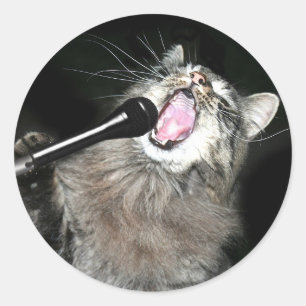 Sticker Rond Chat de chant