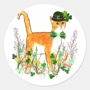 Sticker Rond Chat de la Saint Patrick