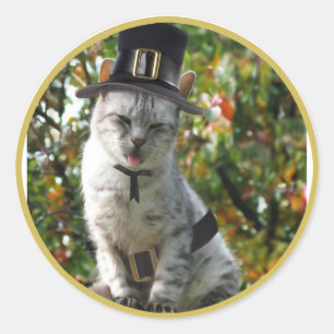 Sticker Rond Chat de pèlerin