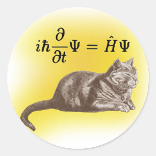 Sticker Rond Chat de Schrodinger