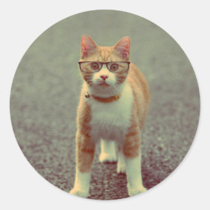 Sticker Rond Chat drôle avec lunettes