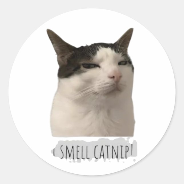 Sticker Rond chat drôle mème (Devant)