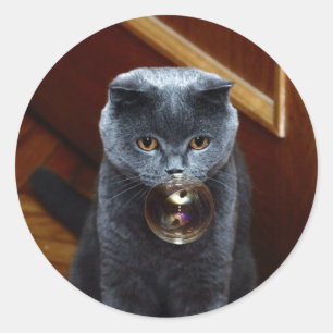 Sticker Rond Chat et bulle de savon