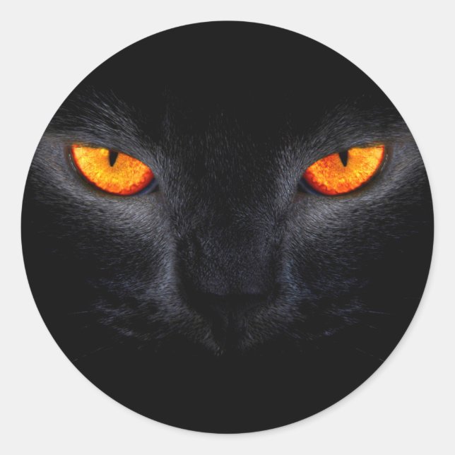 Sticker Rond Chat Noir aux Yeux Orange (Devant)