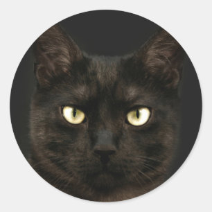 Sticker Rond chat noir éffrayant