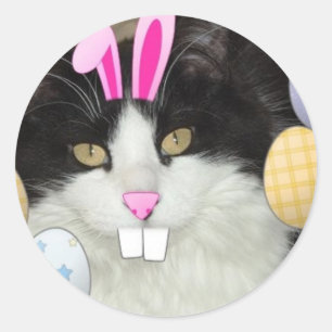Sticker Rond Chat noir et blanc de l'Est