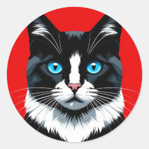Sticker Rond Chat Noir et Blanc Yeux Bleus 🐱 Félin Vibrant