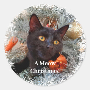 Sticker Rond Chat noir, Noël