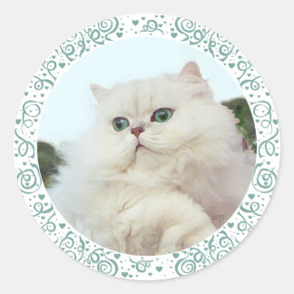 Sticker Rond Chat Persan aux Yeux de Jade