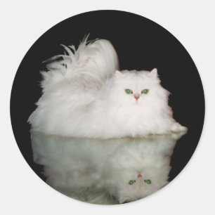 Sticker Rond Chat Persan aux Yeux Vert Jade