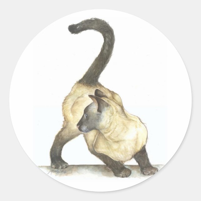 Sticker Rond chat siamois (Devant)