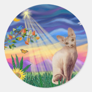 Sticker Rond Chat Sphynx 1 - Crépuscule