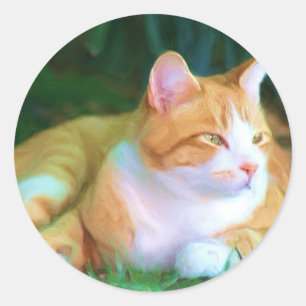 Sticker Rond Chat tigré orange