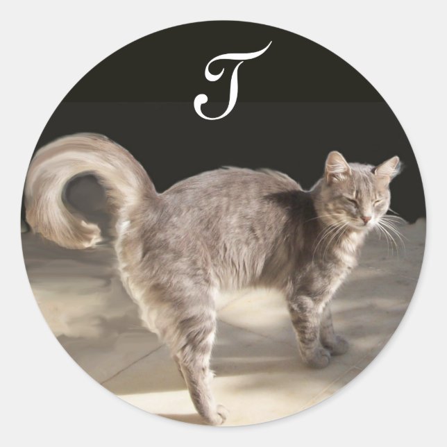 Sticker Rond CHAT TURQUE MONogramme (Devant)