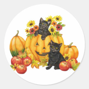 Sticker Rond chaton dans l'autocollant de citrouille