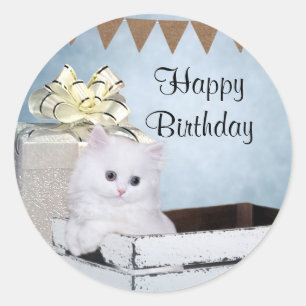 Sticker Rond Chaton perse blanc Annithrée