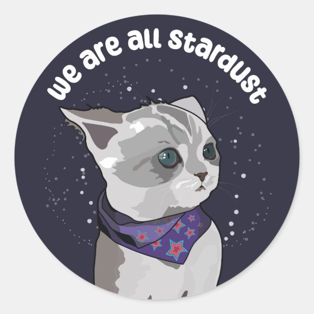 Sticker Rond Chaton Stardust (Devant)