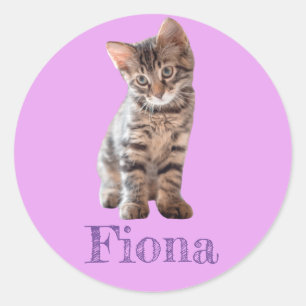 Sticker Rond Chaton Tigré Personnalisé Lavande