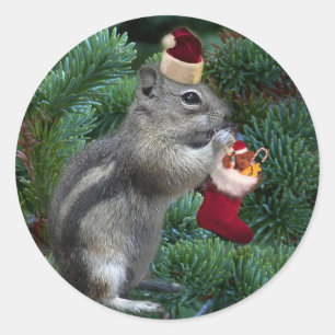 Sticker Rond Cheeky Christmas Chipmunk