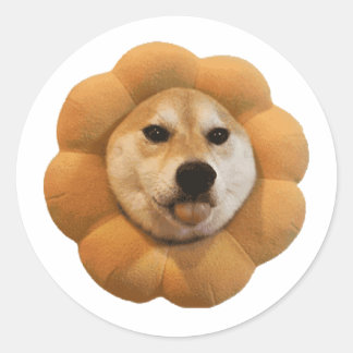 Sticker Rond CHEEMS meme del perro shiba