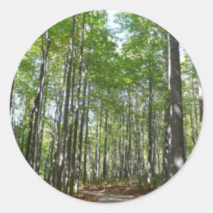 Sticker Rond Chemin en bois centenaire II Ellicott City Marylan