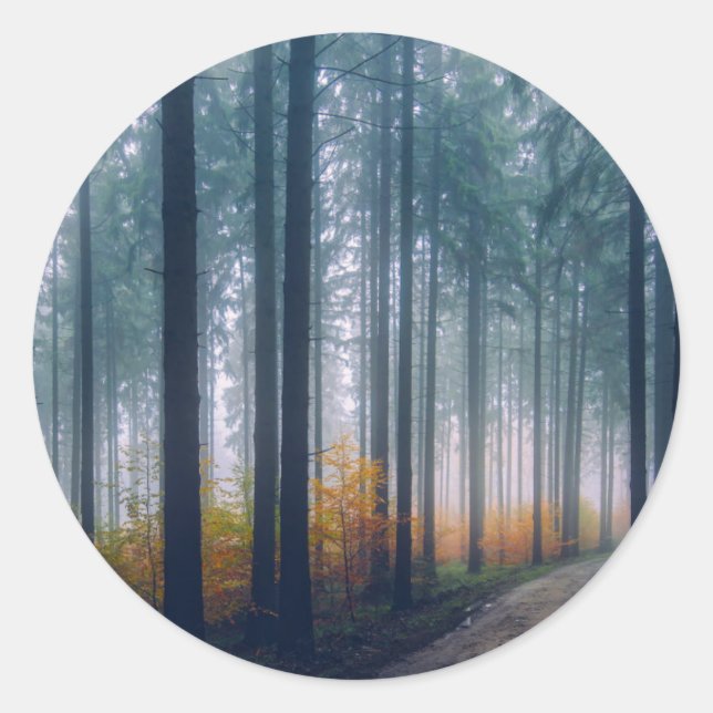 Sticker Rond Chemin forestier Majestic (Devant)