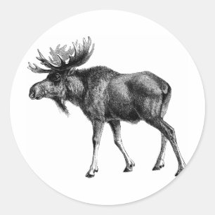 Sticker Rond Chemises et cadeaux d'orignaux 112