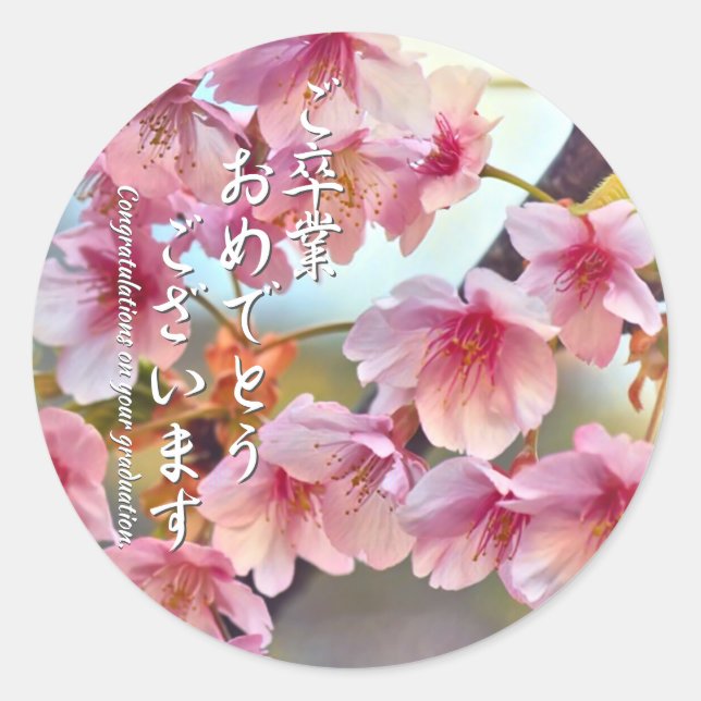 Sticker Rond Cherry blossom "Kawazu-Zakura"  (Devant)