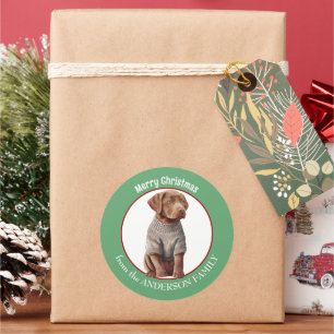 Sticker Rond Chesapeake Bay Retriever Pup en Sweat d'hiver