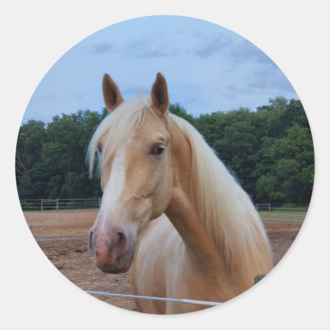 Sticker Rond Cheval (Devant)