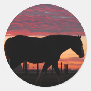 Sticker Rond Cheval au coucher du soleil