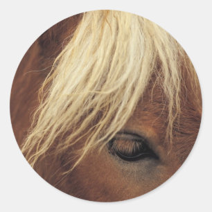 Sticker Rond Cheval avec Mane Blanc