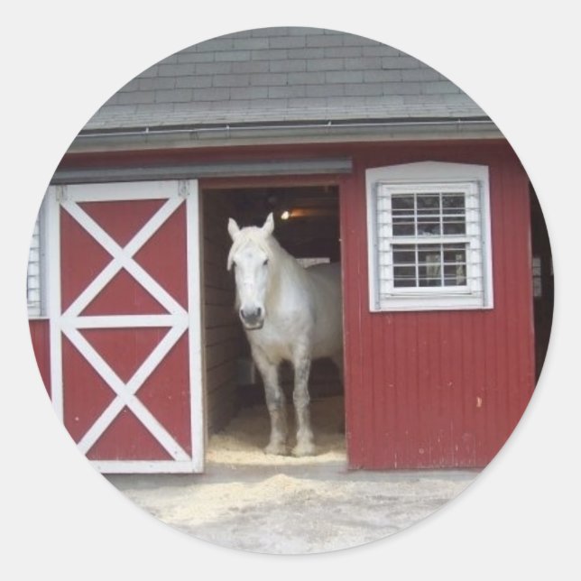 Sticker Rond Cheval Blanc Dans La Grange Rouge (Devant)