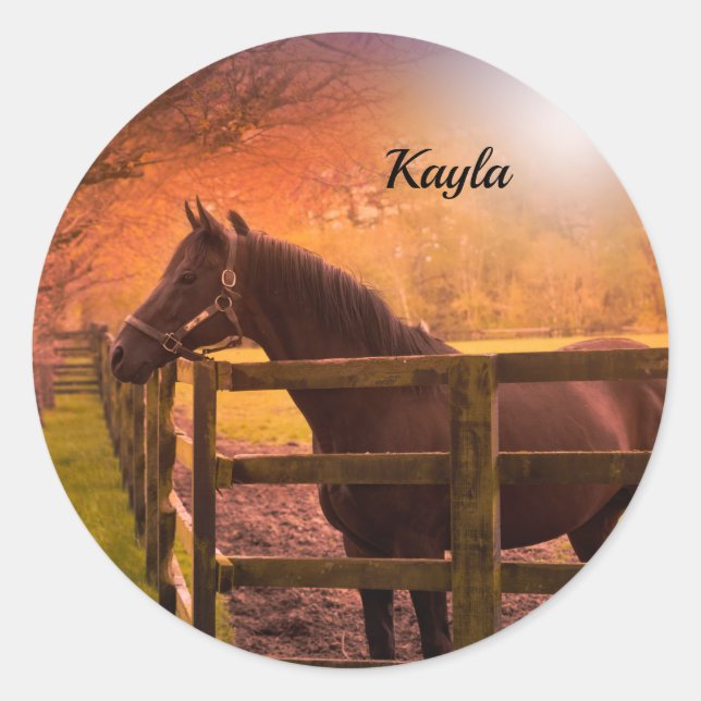 Sticker Rond Cheval d'automne (Devant)