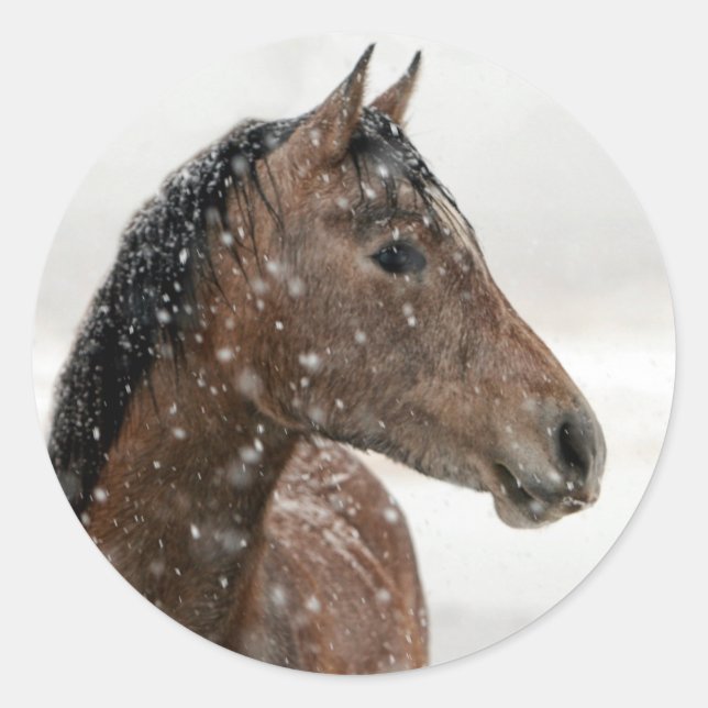 Sticker Rond Cheval de baie en neige douce (Devant)