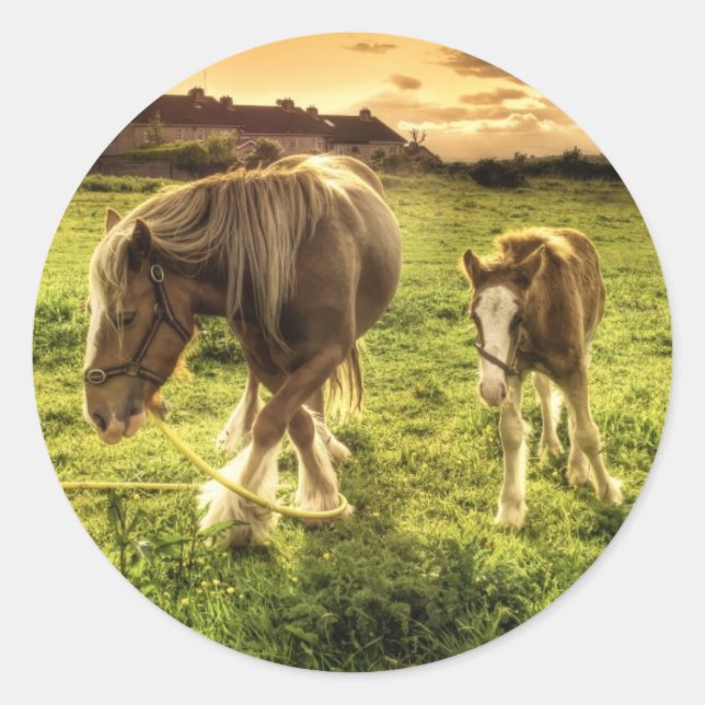 Sticker Rond Cheval de la mère et du poulain (Devant)