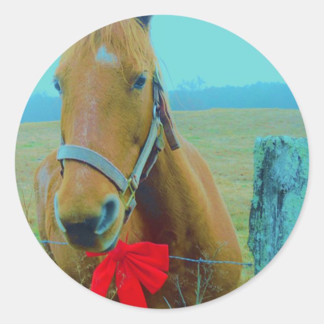 Sticker Rond Cheval de Noël rétro (Devant)