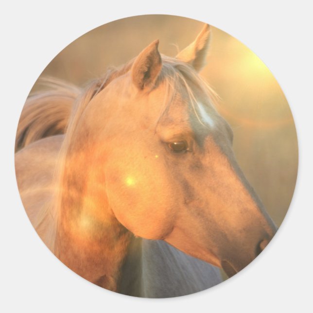 Sticker Rond Cheval de palomino dans l'autocollant léger (Devant)