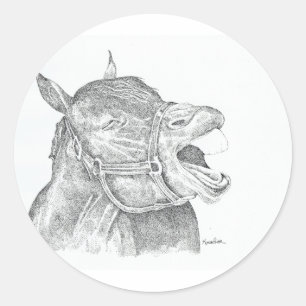 Sticker Rond Cheval de rire